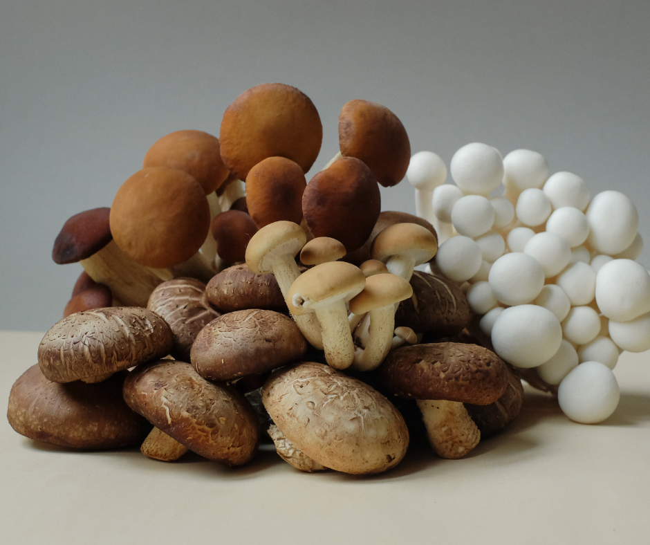 Should I Take a Mushroom Complex Supplement? Here’s What The Science Says.