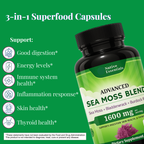 Advanced Sea Moss Blend - Irish Sea Moss, Bladderwrack, and Burdock Root