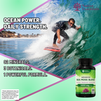 Advanced Sea Moss Blend - Irish Sea Moss, Bladderwrack, and Burdock Root