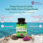 Advanced Sea Moss Blend - Irish Sea Moss, Bladderwrack, and Burdock Root