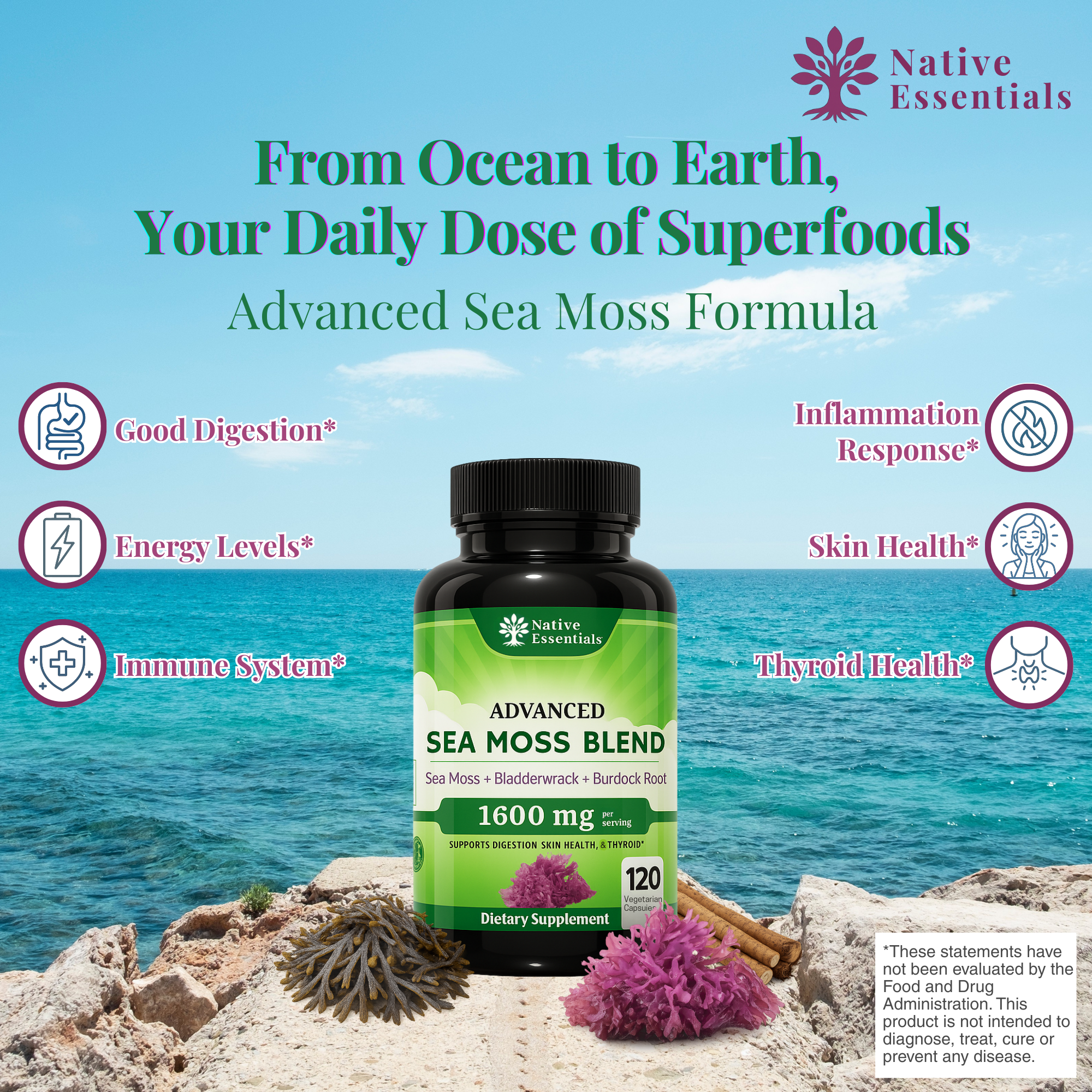 Advanced Sea Moss Blend - Irish Sea Moss, Bladderwrack, and Burdock Root
